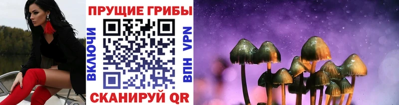 mega зеркало  Чернушка  Псилоцибиновые грибы GOLDEN TEACHER  купить  сайты 