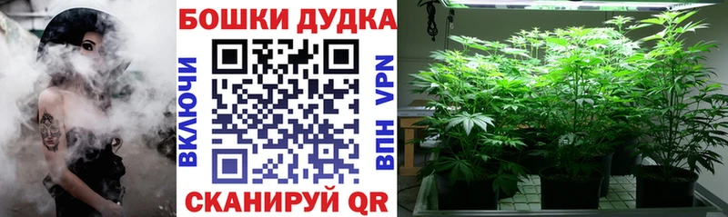 Марихуана OG Kush  KRAKEN онион  darknet клад  Чернушка 